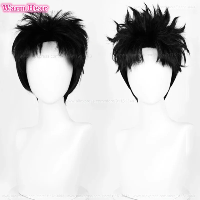 Cosplay Anime Black Hair - Ken Takakura Synthetic Short 28cm Black