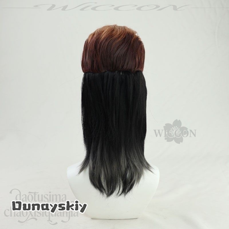 Dream ZS*/Anime Danganronnaaa  - Cosplay Anime Black Hair recension och pris