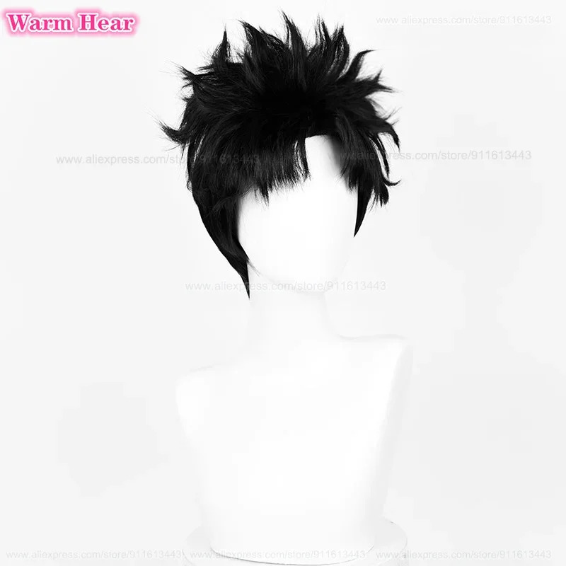 Ken Takakura Synthetic Short 2 - Cosplay Anime Black Hair recension och pris