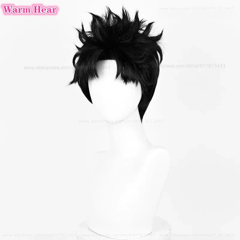 Ken Takakura Synthetic Short 2 - Cosplay Anime Black Hair recension och pris